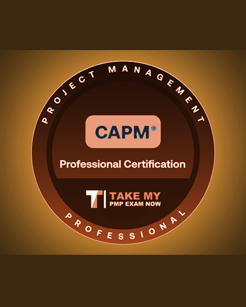 The Certified Associate in Project Management (CAPM)