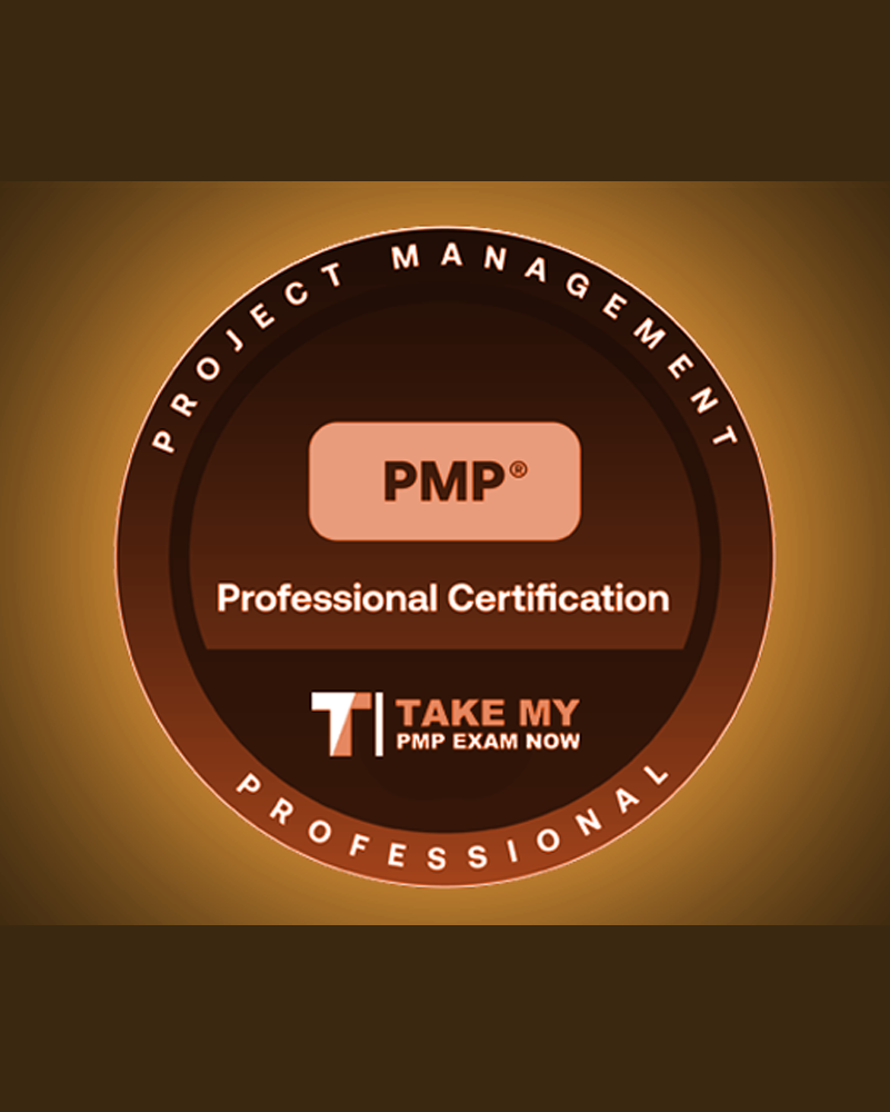 The Certified Associate in Project Management (CAPM)